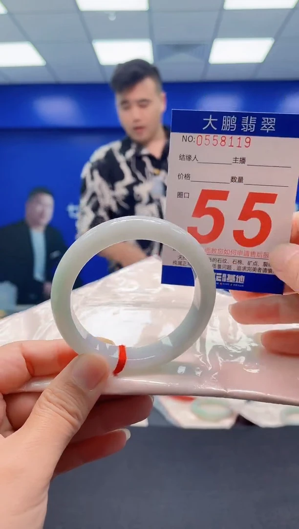 未镶嵌手镯翡翠AAAAAAAAA