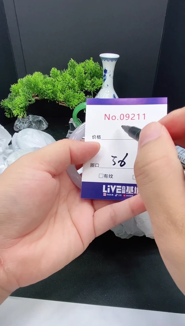 未镶嵌手镯翡翠9211