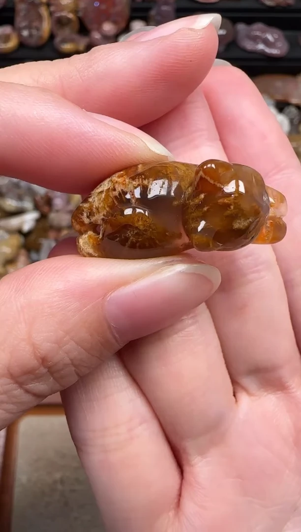 颈饰未镶嵌硅化珊瑚（珊瑚玉）807