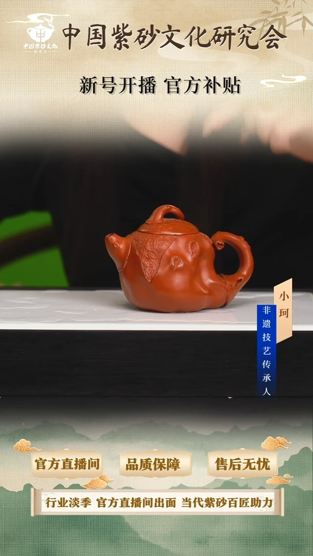 茶壶紫砂陶茶文化鲍              大红袍280cc左右