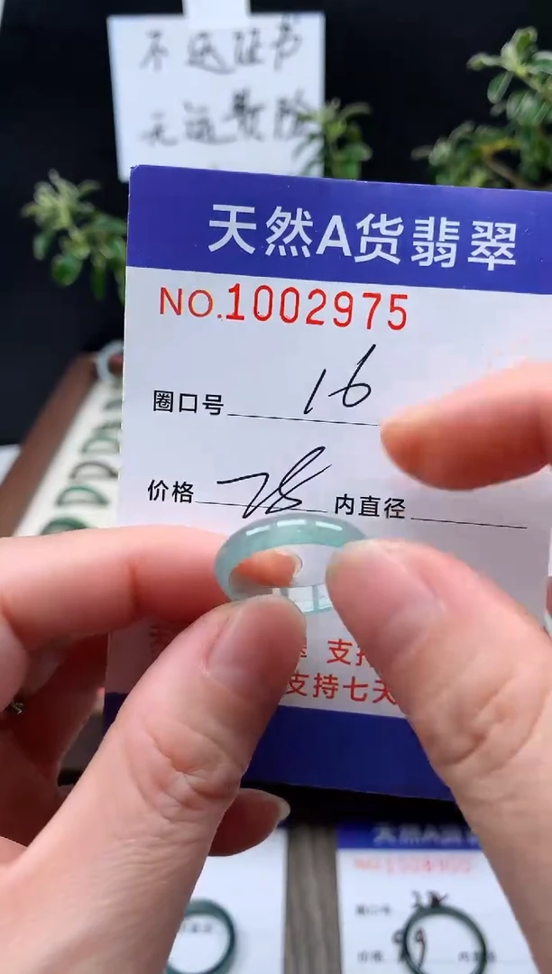 未镶嵌戒指翡翠16#