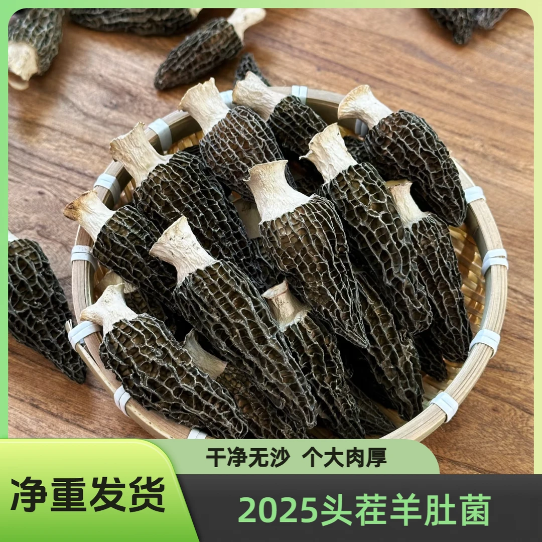 【助农福利】4-7规格羊肚菌干货新货头茬-精品大个头羊肚菌产地直销