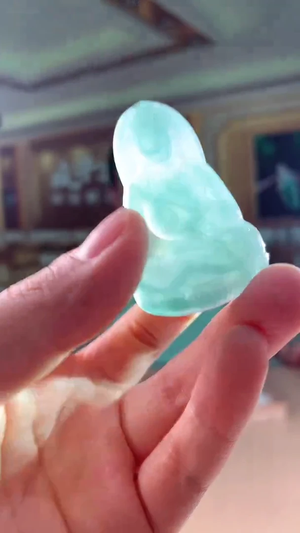 翡翠未镶嵌颈饰挂件 多样性发一件