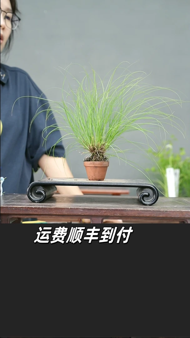 无花朵9