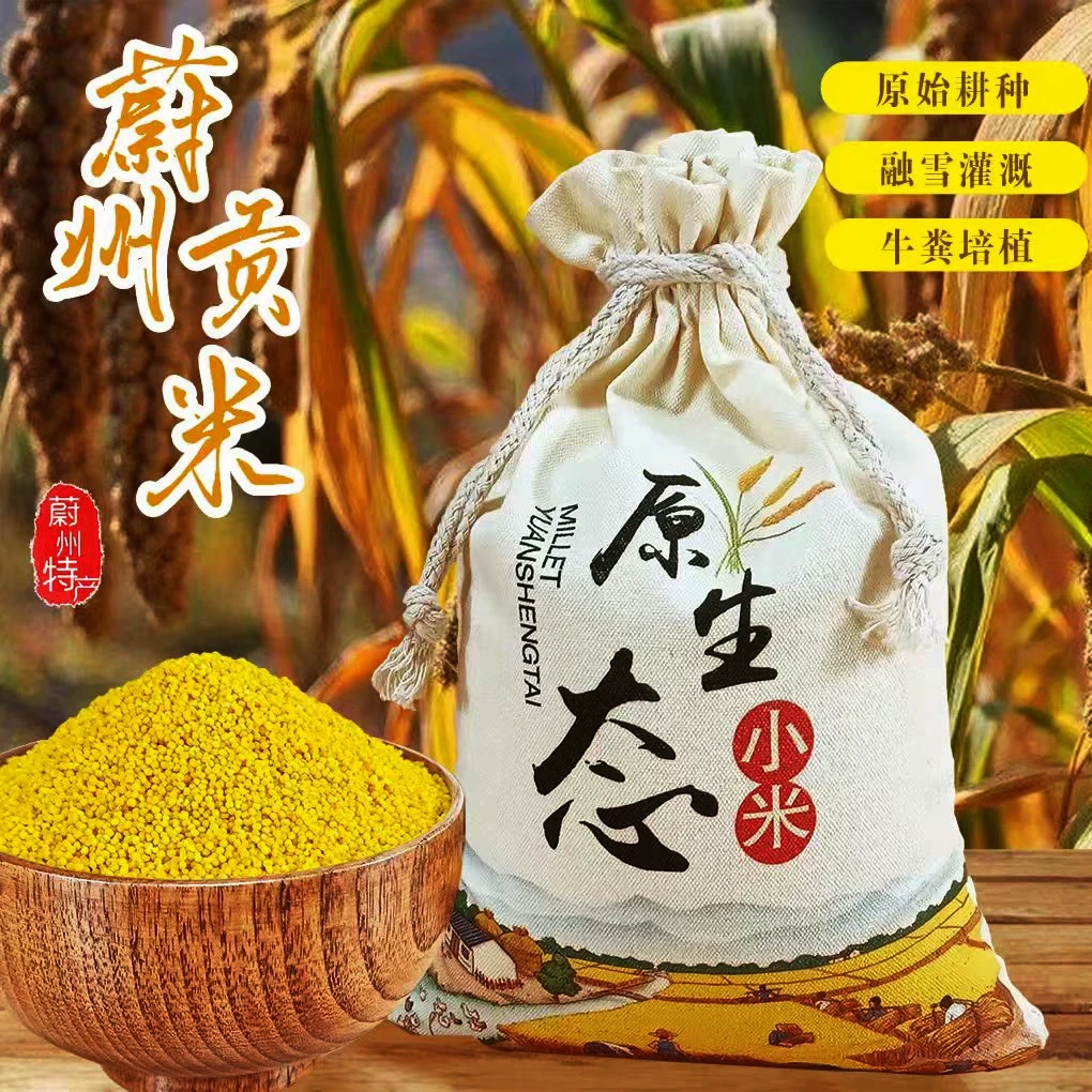 2025蔚县桃花黄糯胚芽毛小米贡米之乡牛肥种植5斤惜有大白谷小米