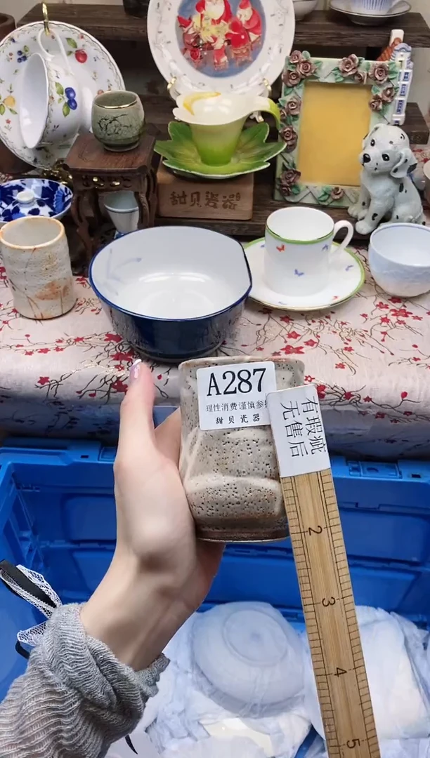 瓷片                A287