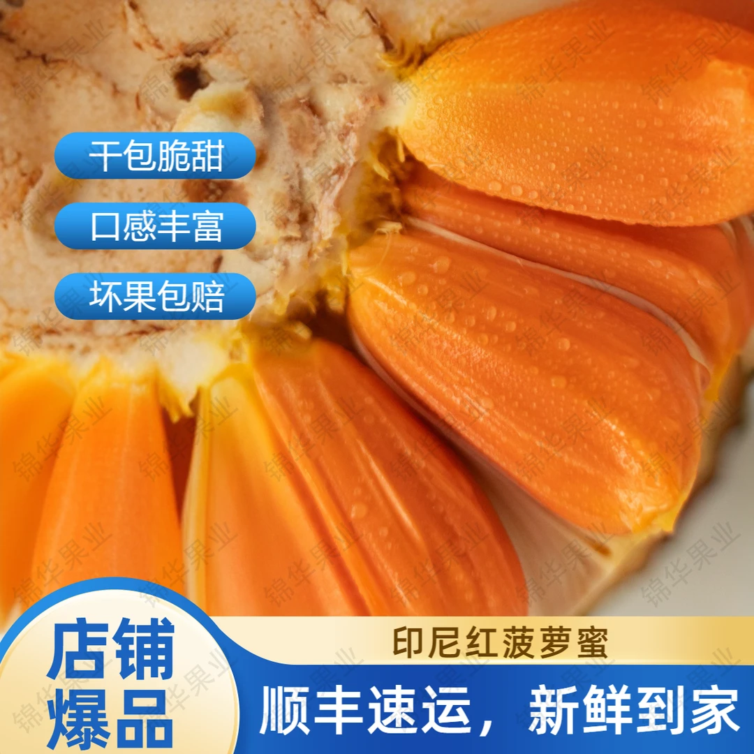 【二广预售】正宗印尼红红肉菠萝蜜干苞脆甜越南进口一整个顺丰包邮