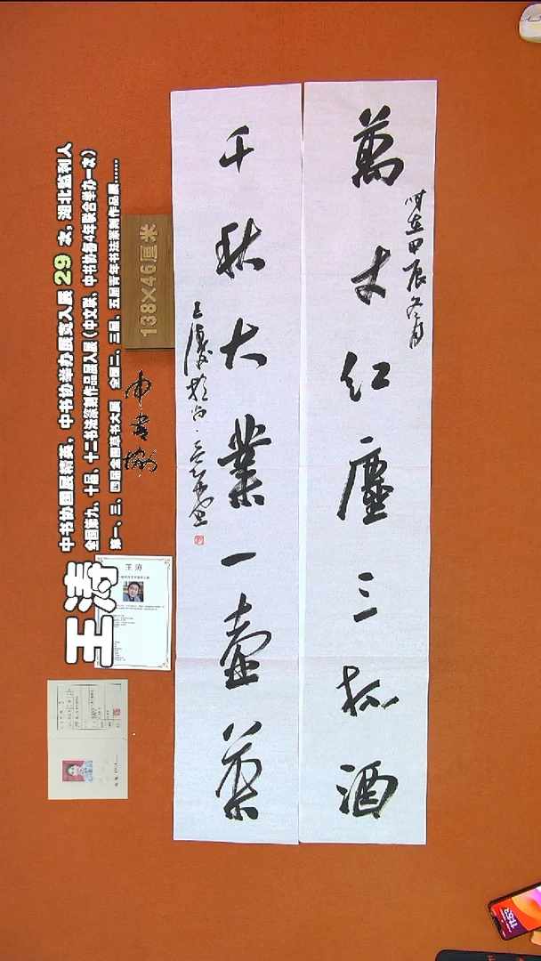 【闪购商品】书法3373王涛书法作品