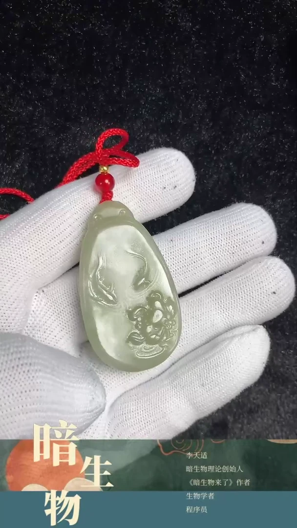 【闪购商品】和田玉吊坠(赠链)未镶嵌鱼
