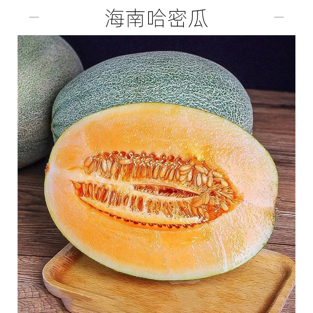 海沙蜜瓜海南哈密瓜新鲜水果蜜甜瓜