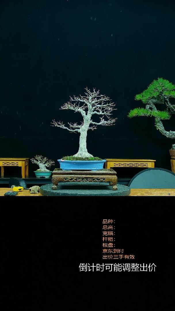 【闪购商品】000000