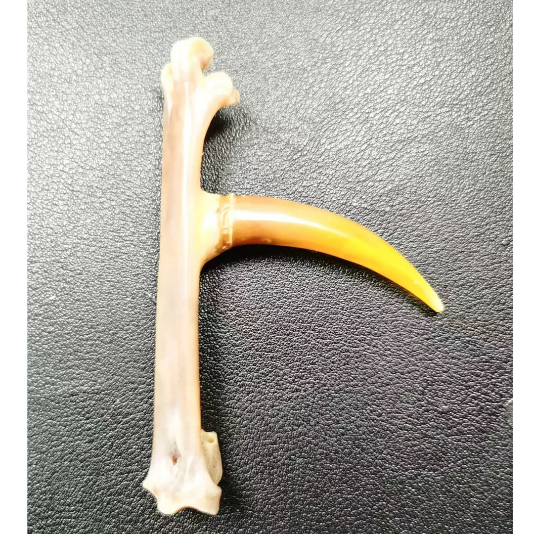 文玩鸡爪骨手把件