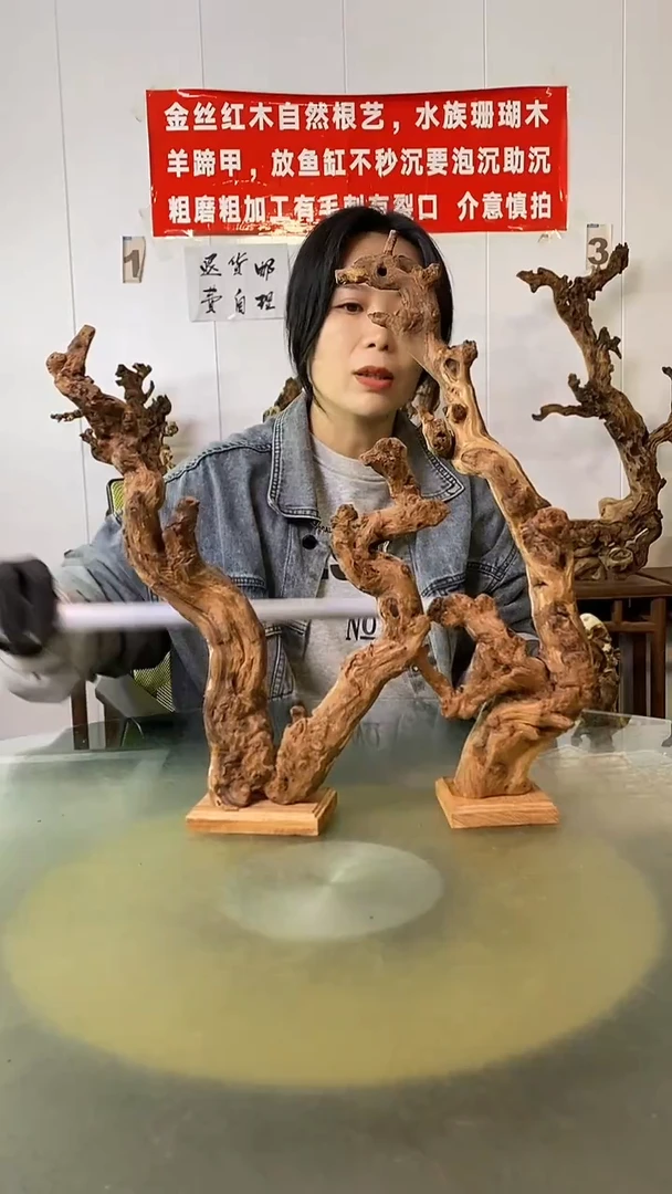 木莫**诚金丝红木  羊蹄甲2