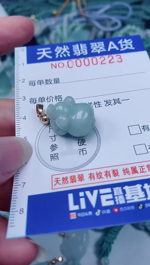 颈饰未镶嵌翡翠00000223