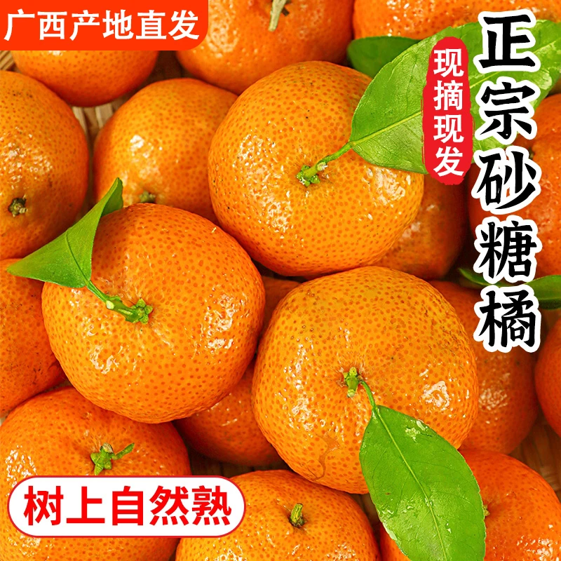 【H】正宗广西砂糖橘新鲜水果蜜桔香甜橘子贡柑现摘现发