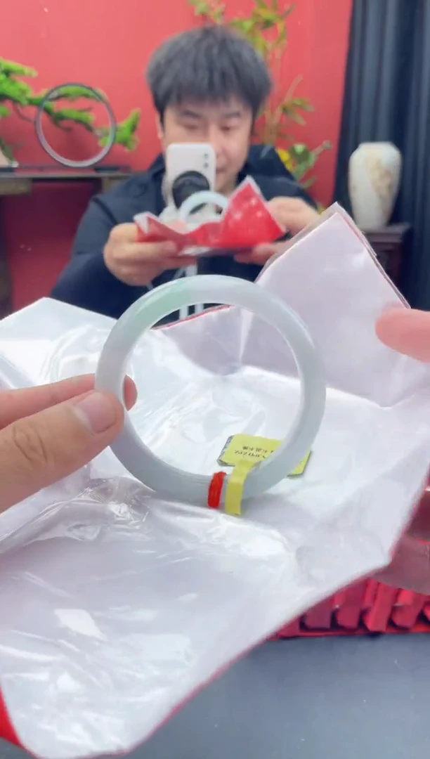 未镶嵌手镯翡翠8