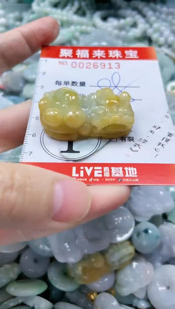 【闪购商品】翡翠颈饰未镶嵌闪购0026913