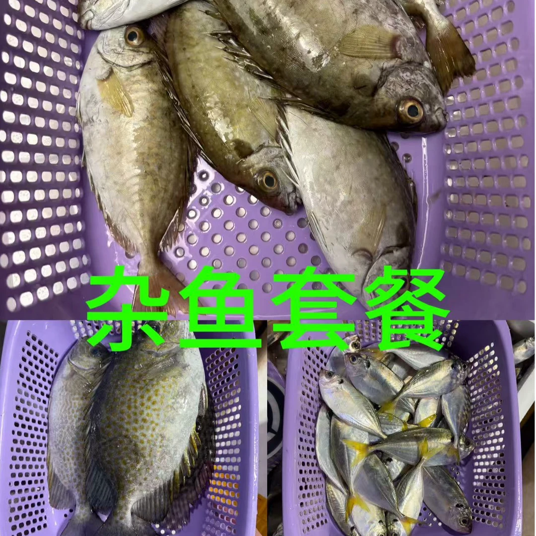 杂鱼套餐 3斤 （泥猛鱼 花猛鱼 吉尾鱼）