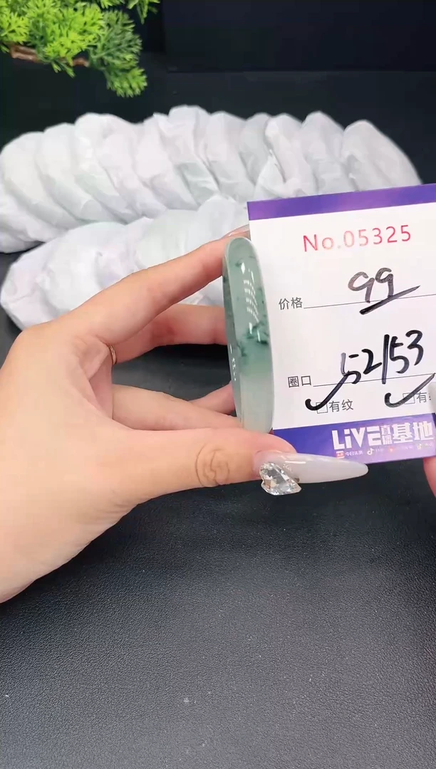 未镶嵌手镯翡翠5325