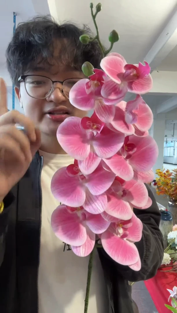 【闪购商品】仿真绿植6根粉黛色蝴蝶兰