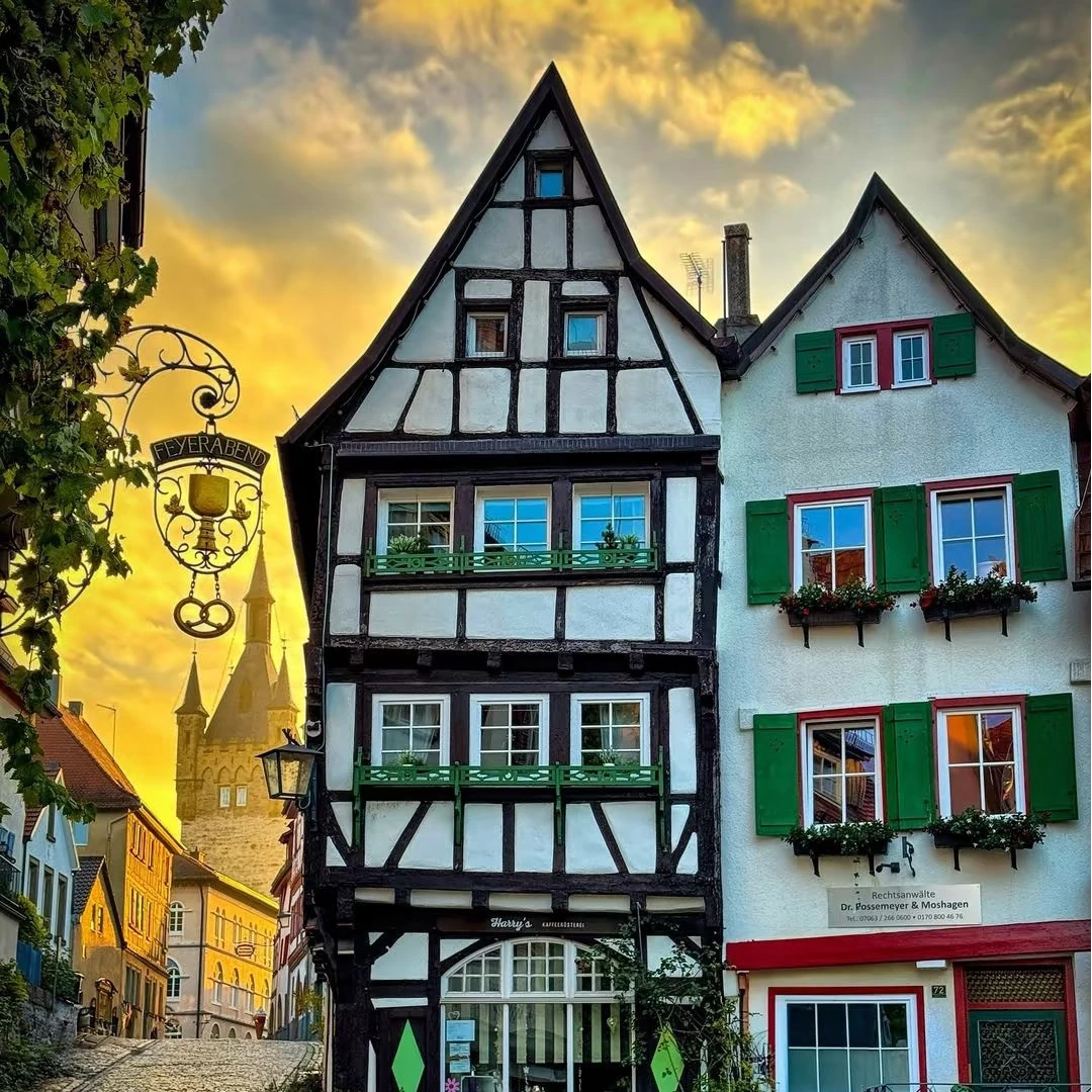 （S)-LA春夏新款首发时尚百搭轻奢T恤420