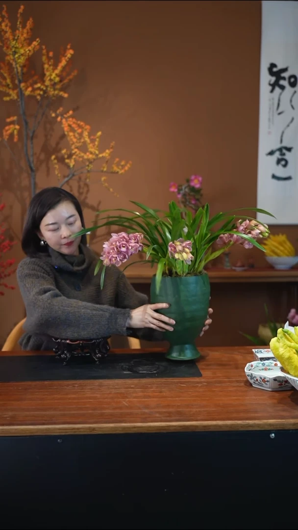 全部花朵樱花盆景盆景