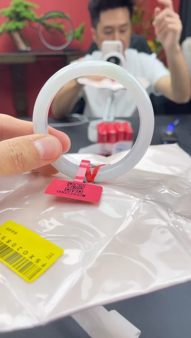 未镶嵌手镯翡翠5