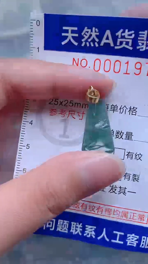 翡翠未镶嵌吊坠(不含链)1