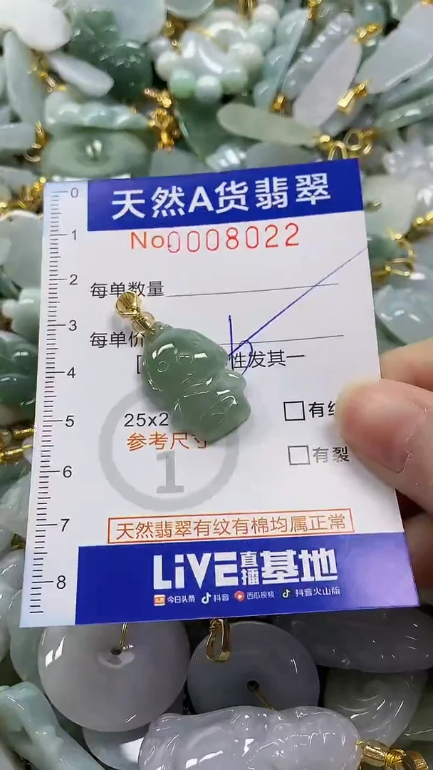 颈饰未镶嵌翡翠纯天然a货翡翠