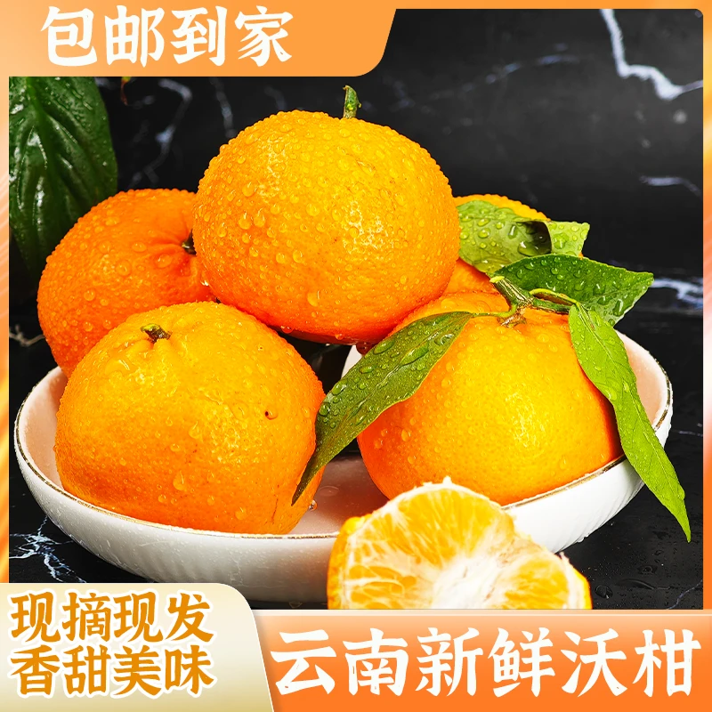 云南高山沃柑现采现发新鲜发货爆甜多汁皮薄肉厚 3斤|5斤|9斤