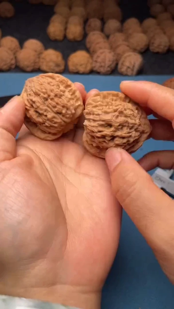 桃核把件w110  官帽 42尺