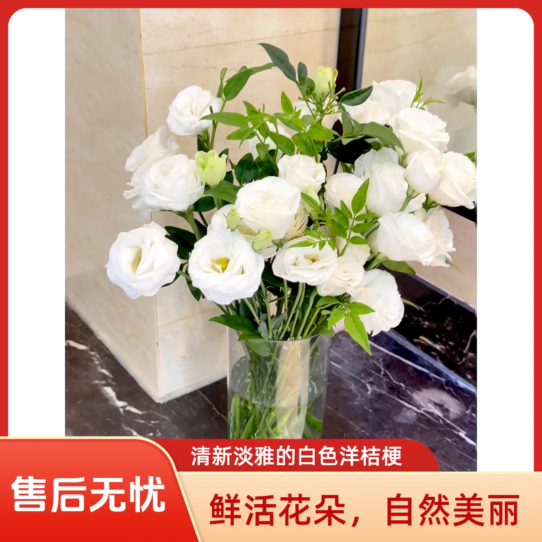 纯白洋桔梗/鲜花/鲜切花/居家鲜花/（10枝）