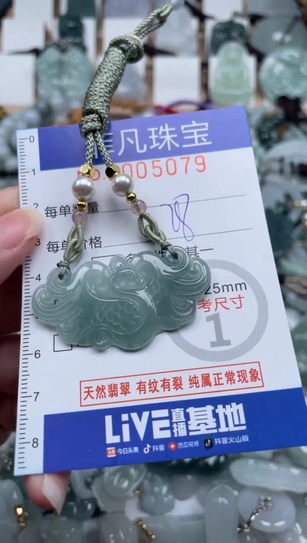 翡翠未镶嵌颈饰00..5079