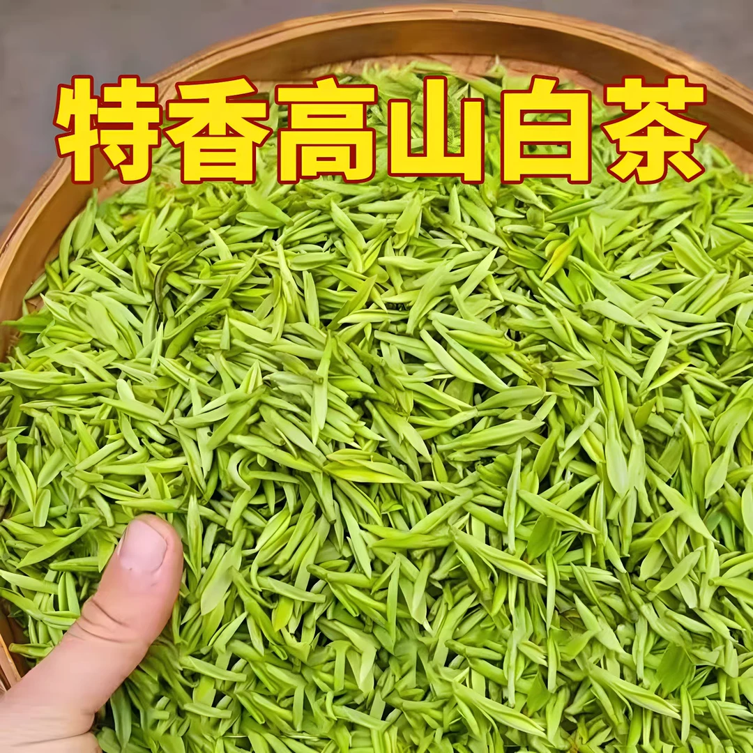 正宗白茶2025新茶头采明前珍稀白茶高山白茶绿茶罐装白茶礼盒装