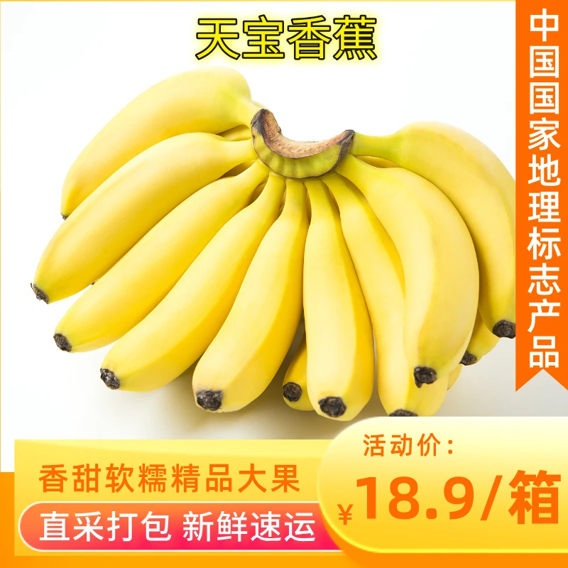 正宗天宝香蕉国家地理标志产品新鲜现摘老人孕妇小孩最爱软糯香甜