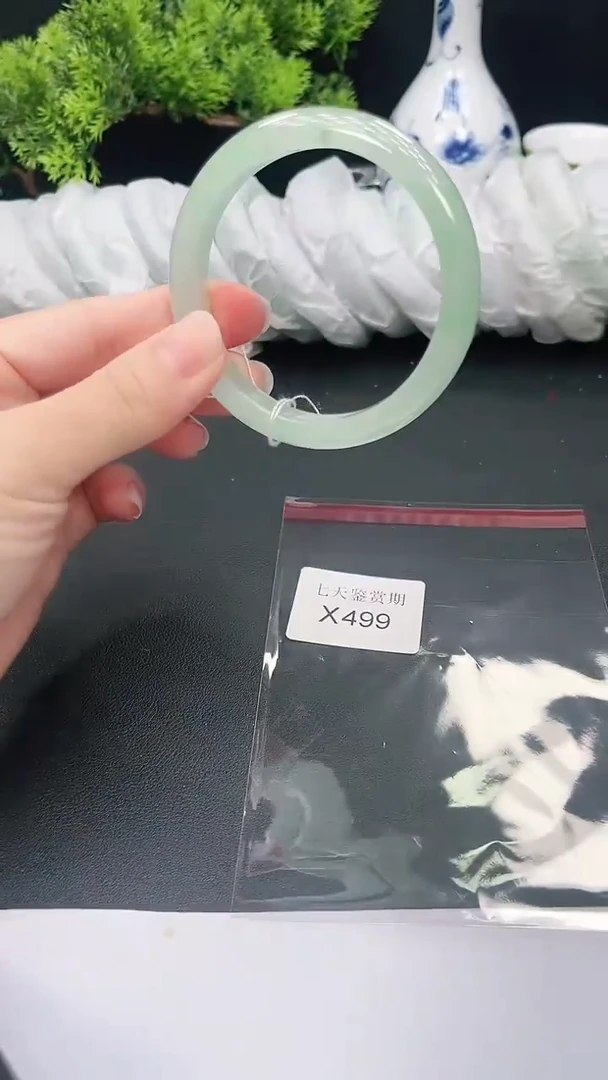 未镶嵌手镯翡翠499