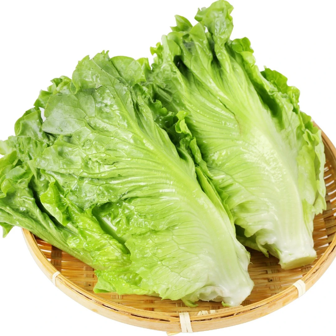 新鲜生菜一斤