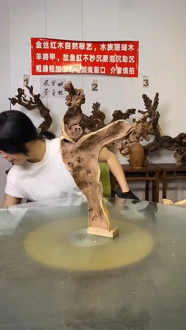 香榧木金丝红木 羊蹄甲