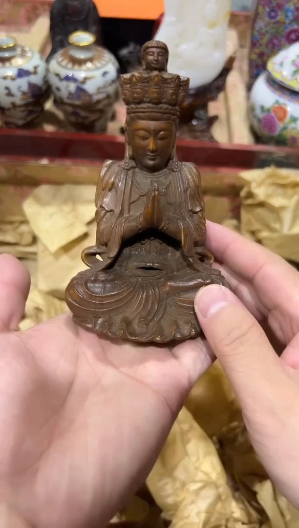 黄杨木11111111111111111