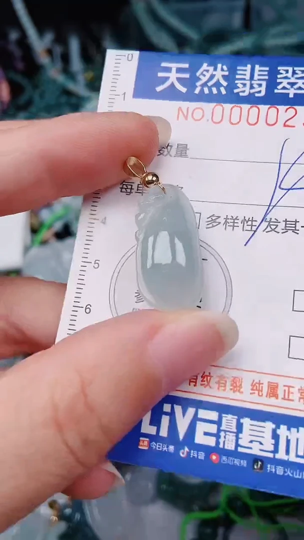 颈饰未镶嵌翡翠00000239