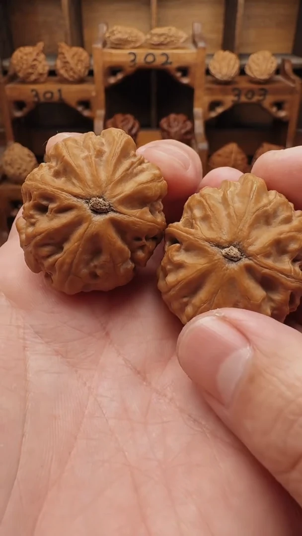 【闪购商品】文玩核桃吊坠LZ楸子