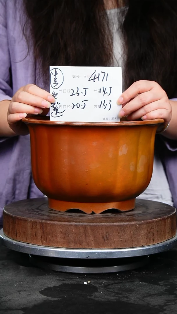 紫砂花盆花卉园艺4171