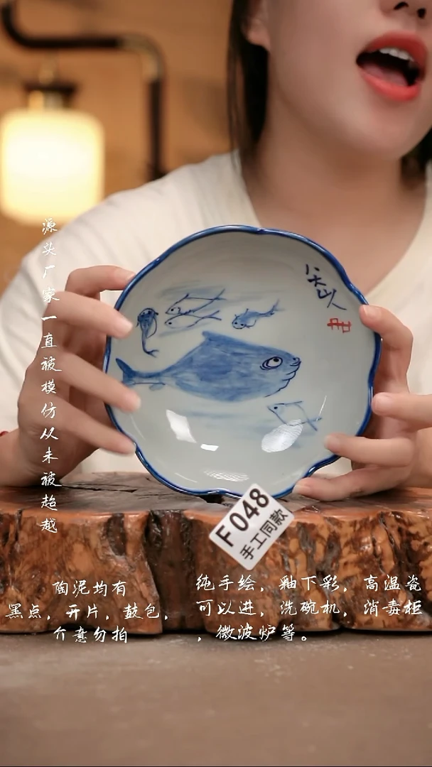 其他F048 新十二器