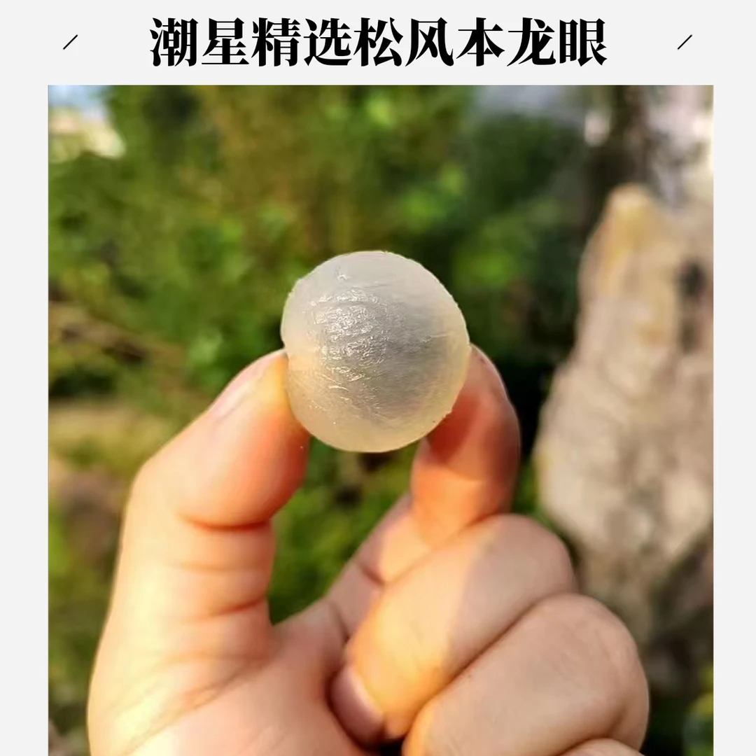潮星精选龙眼松风本