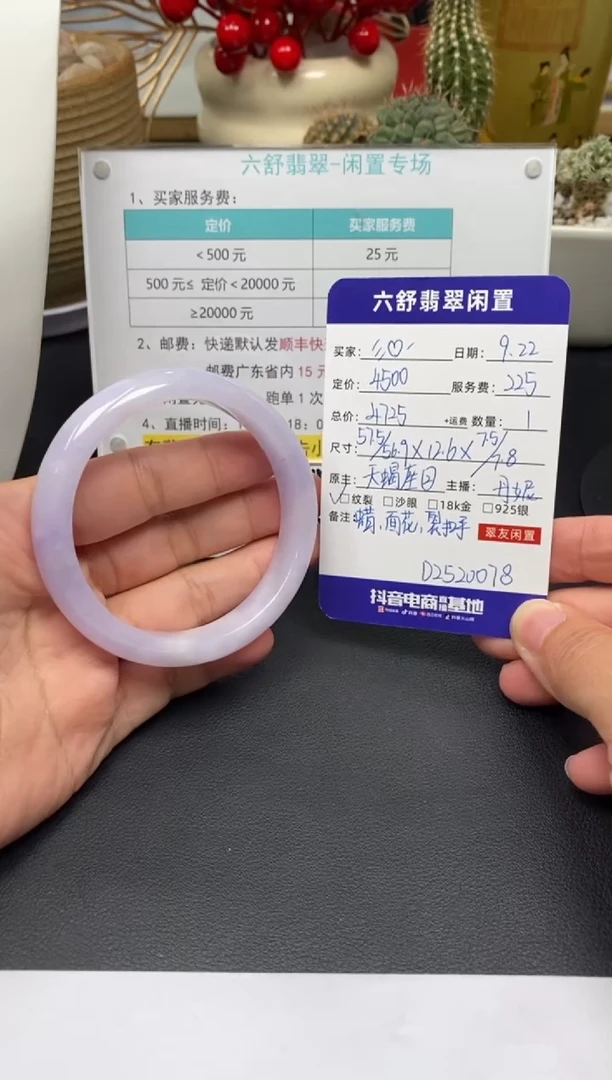 未镶嵌手镯翡翠?****?D2520078