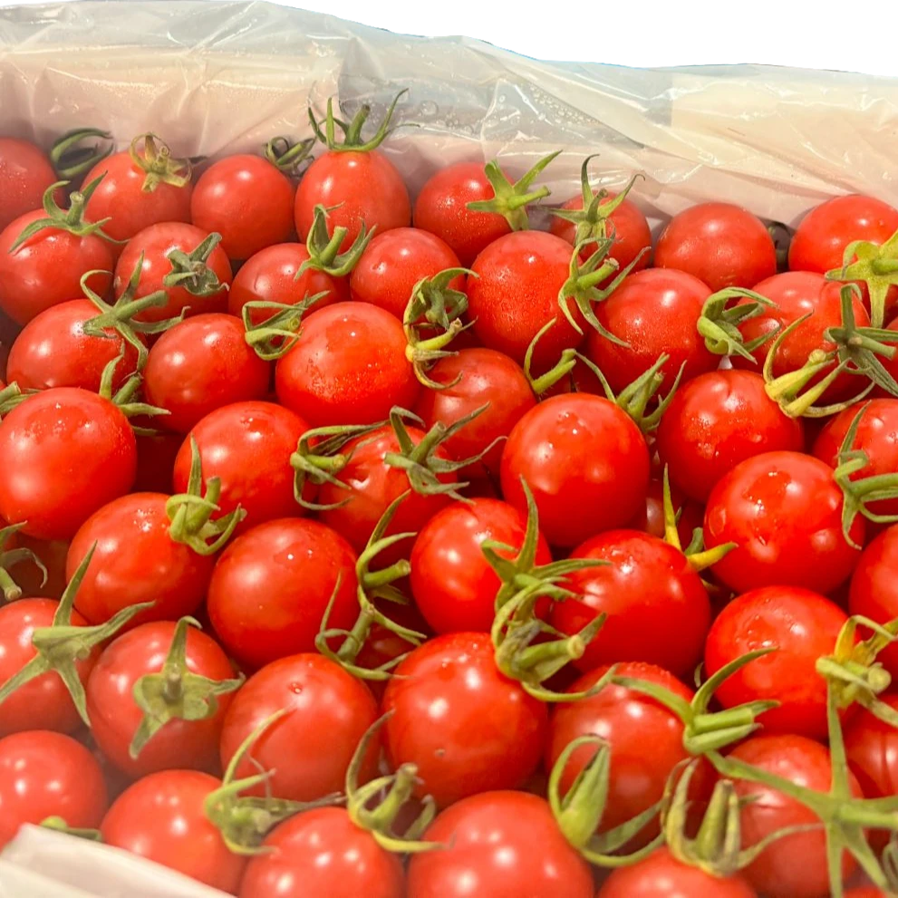 【散装1斤】爆浆千玺散装1斤左右千禧圣女果广东省