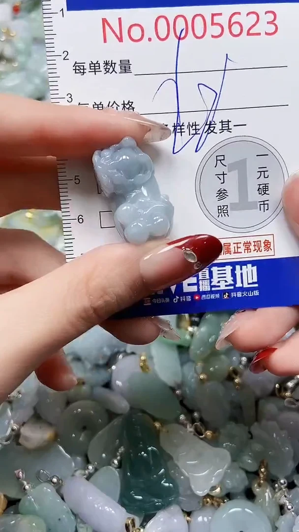【闪购商品】翡翠颈饰未镶嵌闪购00005623