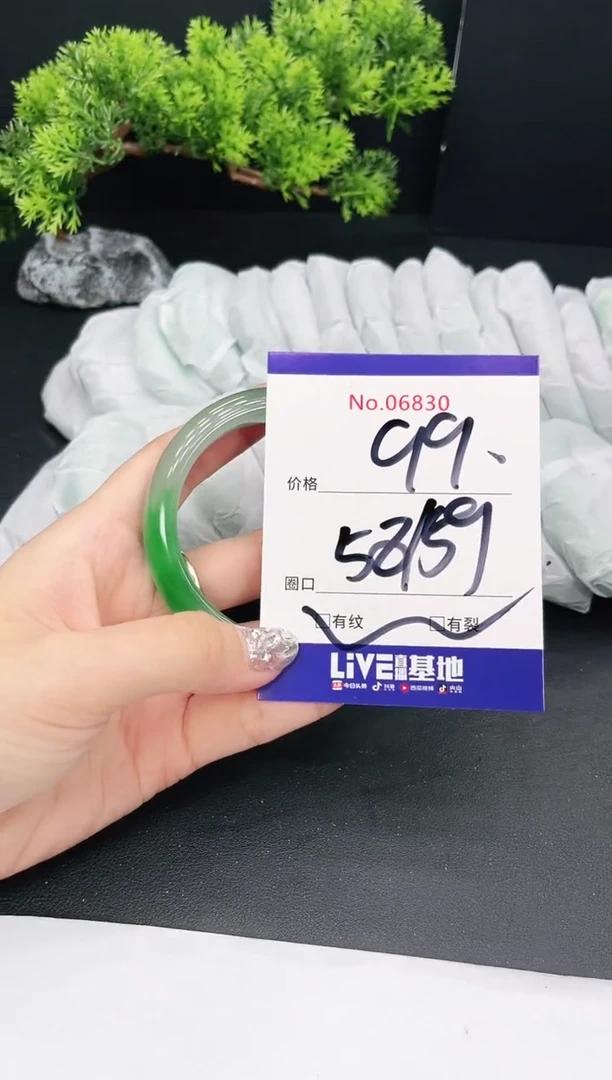未镶嵌手镯翡翠06830