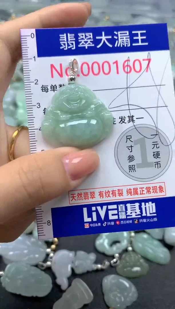 颈饰未镶嵌翡翠1607