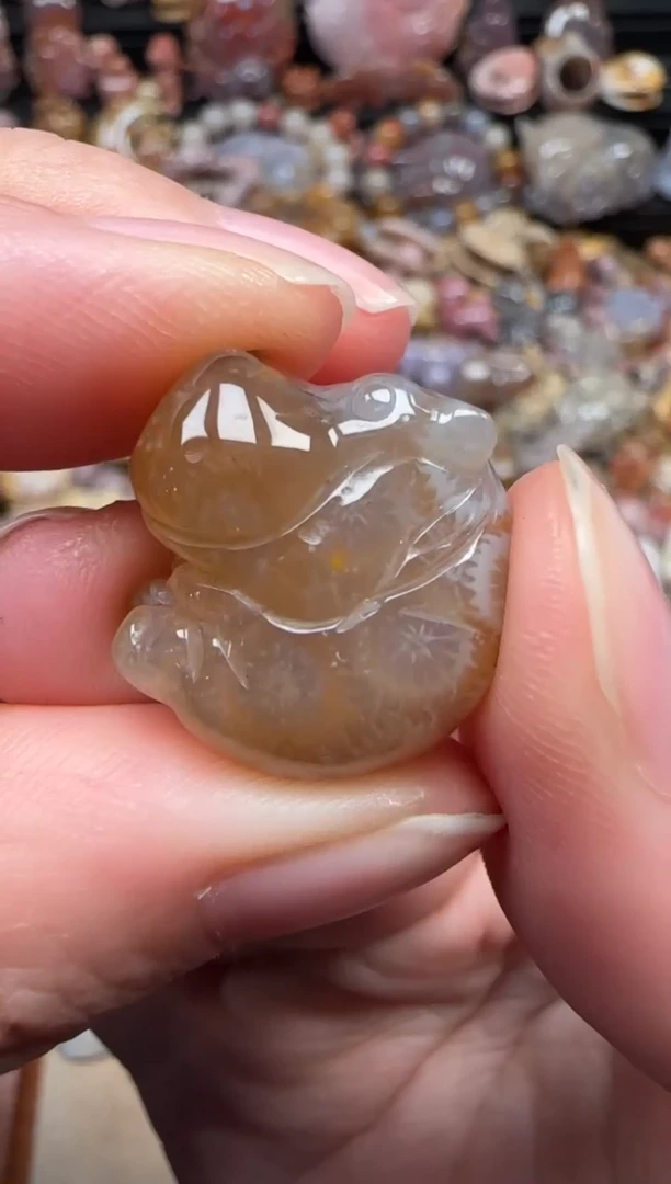 颈饰未镶嵌硅化珊瑚（珊瑚玉）830